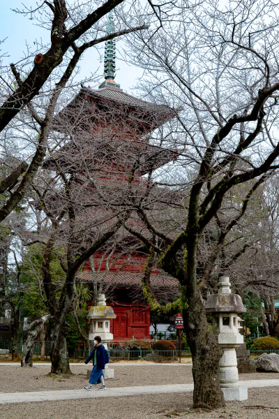 Five-story pagoda of Nakayama Hokkekyo-ji Temple