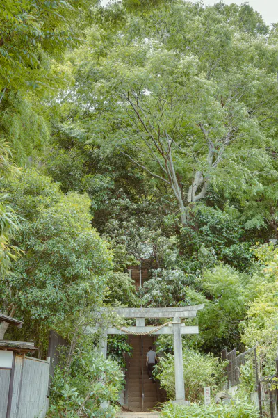 Torii of Okamoto Hachiman Shrine