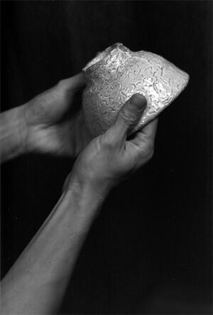 Hand seizing china bowl