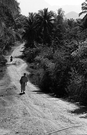 Buddhist monk walking dirt road alone
