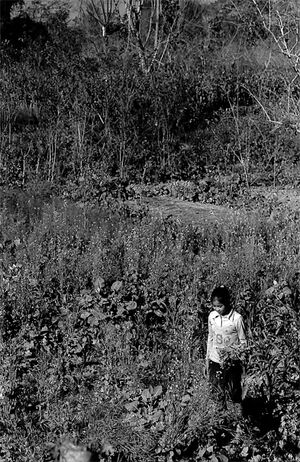 Girl standing in field