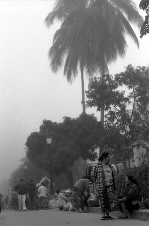 朝霧の中で立ち話する女性