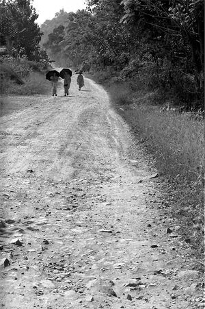 Buddhist monks walking dirt road with umbrella