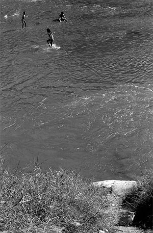 川で遊ぶ子どもたちのことを振り返って眺める猫