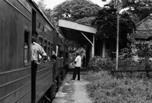 Train stopping at small station
