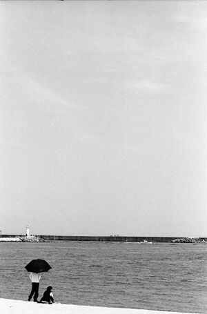 Couple on seaside