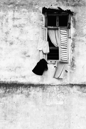 Window and laundries