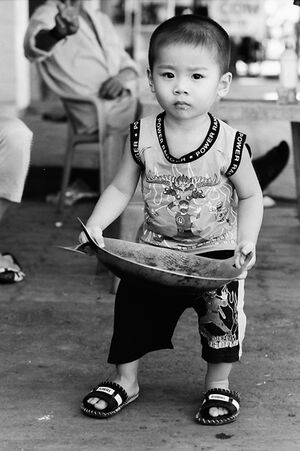 Little boy holding cooking vessel