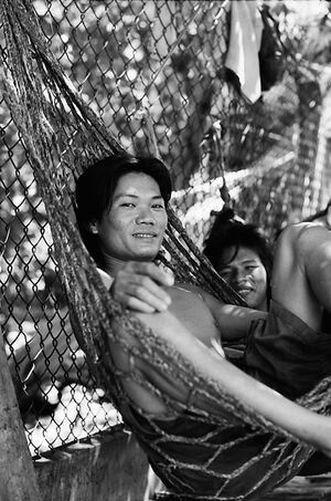 Young man relaxing on hammock