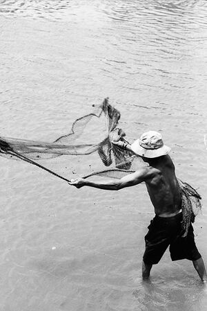 Man throwing fishnet in river