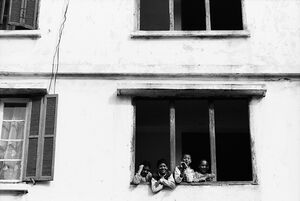 Boys by window