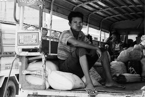 Man sitting on truck