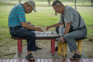 Men playing Chinese chess in a park