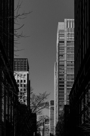 Office buildings standing side by side