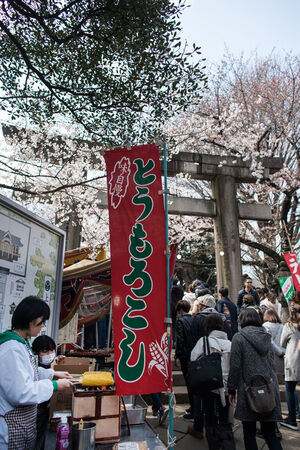 焼きトウモロコシの屋台