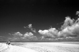 Figures walking beach