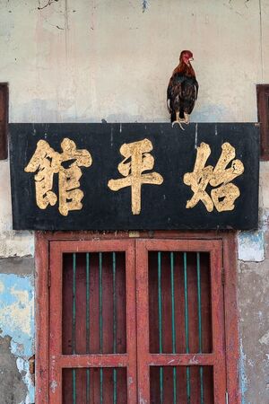 漢字で書かれた扁額の上に止まっていた雌鳥