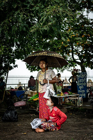 傘を差して木の下に立つ女性