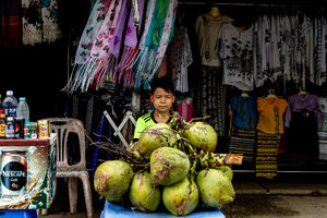Boy selling coconuts