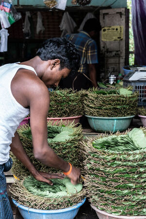Man setting out betel leaves