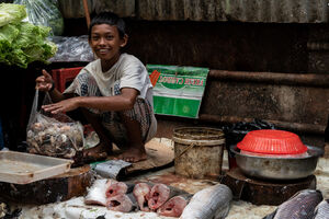 魚を売る男の子