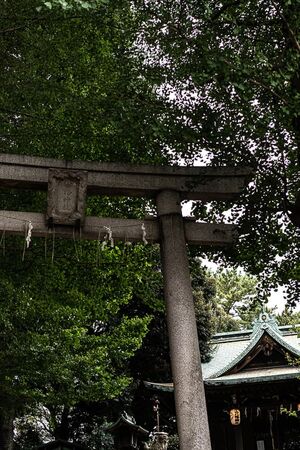小山八幡神社の鳥居と拝殿