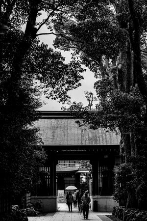 Gate between trees in Samukawa Jinja