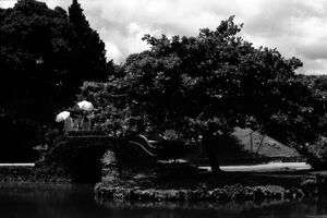 Three umbrellas on stone bridge in Shikinaen garden