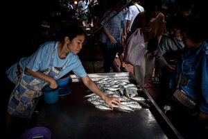 Woman selling fishes in Maeklong Railway Market