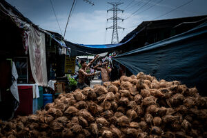 路地の真ん中に山積みになったココナッツ