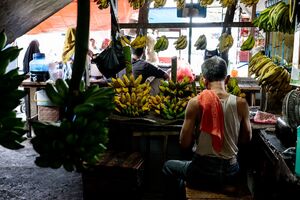 カノマン市場のバナナ専門店