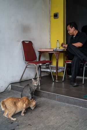 Man eating with two cats