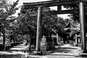 荏原神社の鳥居