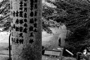 Figure crossing the approach to Komagome Fuji Shrine