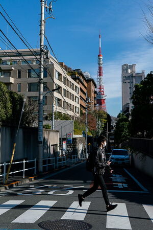 鳥居坂から見える東京タワー