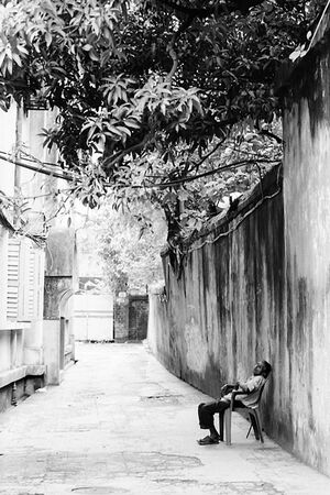 Man in pathway