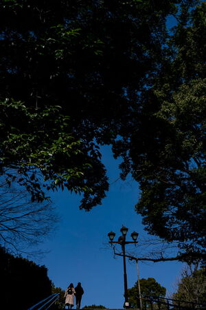 Couple at the top of the steep stairs