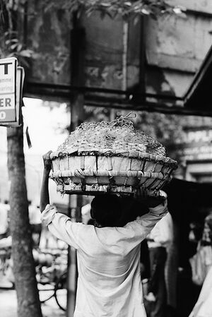 Man carrying big basket on head