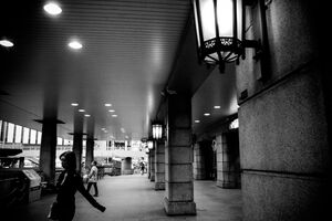 Woman passing between pillars in Ueno station