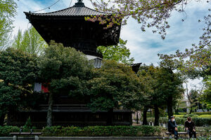 鑁阿寺の多宝塔の前の親子