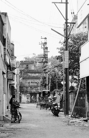 静かな道