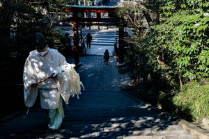 Shinto priest going up the stairs