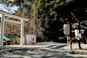 鎌倉宮に立つ白い鳥居