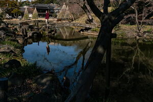 肥後細川庭園の池