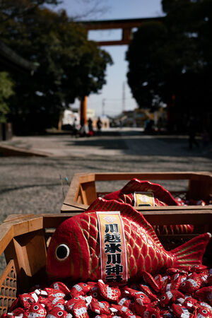 Fortune slip shaped like a sea bream at Kawagoe Hikawa Shrine