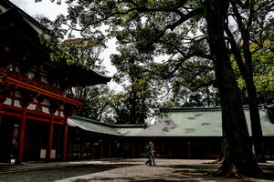 Precincts of Omiya Hikawa Jinja Shrine