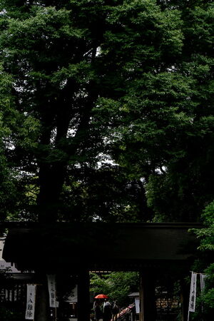 Shinmon Gate of Asagaya Shinmei-gu Shrine