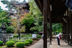 Woman peering into the Gotoku-ji Temple\'s Buddha hall
