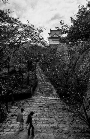 Turret of Tsuyama castle