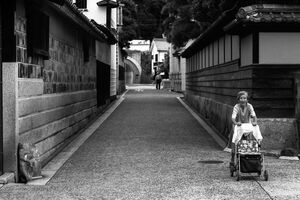 Older woman pushing trolley